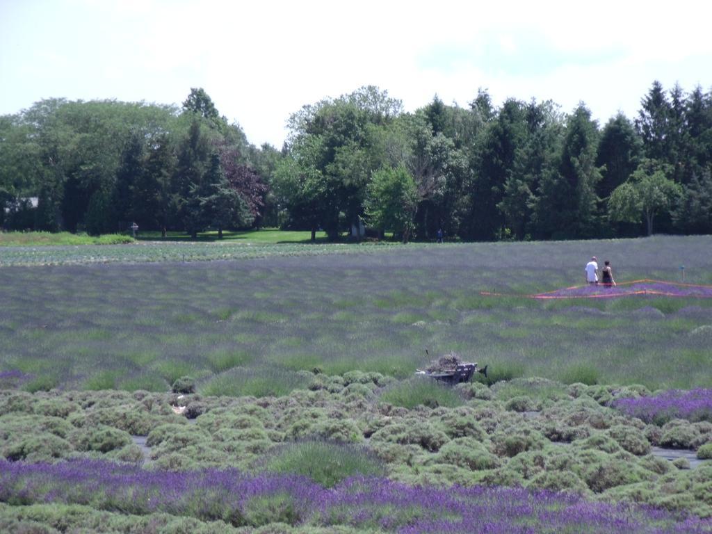 The Blue Inn At North Fork East Marion Eksteriør bilde